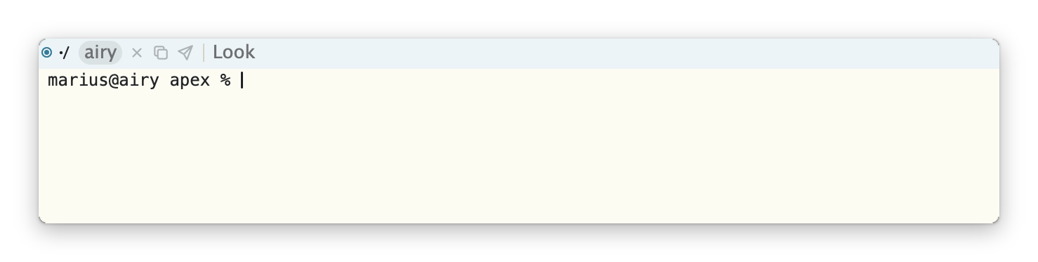 A terminal's tag: a ringed dot, the directory, the label airy, and icons for Del, Snarf and Send.